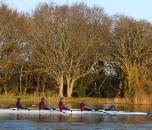 [The Mixed 4+ in Division 2]